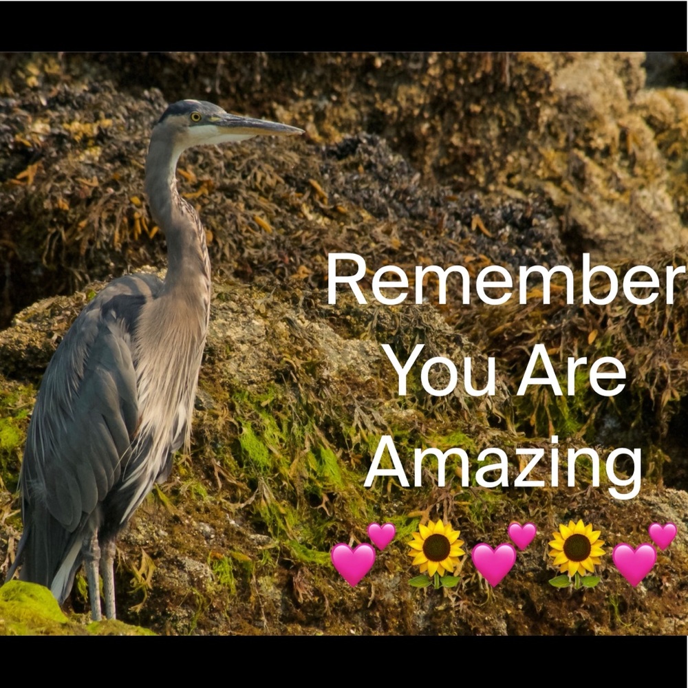 Inspiration 💕🦋💕🦋💕